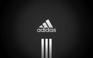 Nguyên thủ quốc gia Việt Nam không nên mặc áo nhái Adidas đi cày ruộng